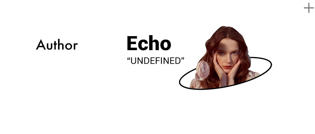 Echo2-1657879416860